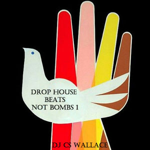 Drop HOUSE Beats, Not Bombs 1